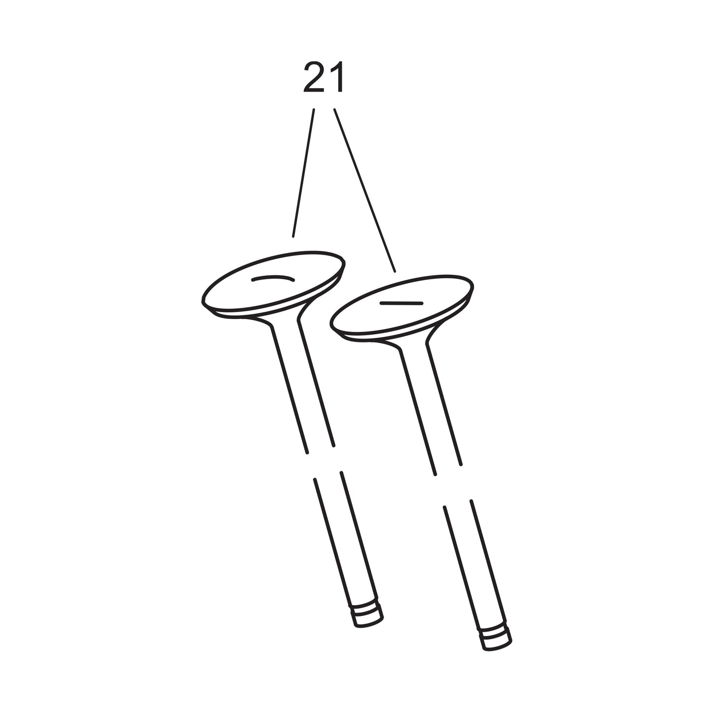 Stainless Steel Intake & Exhaust Valve